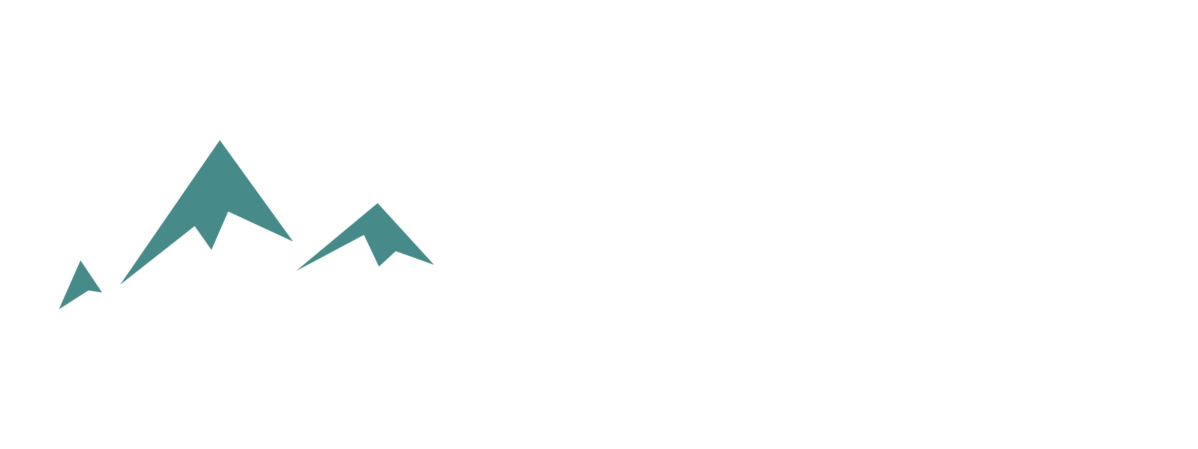 Studio Banner Logo